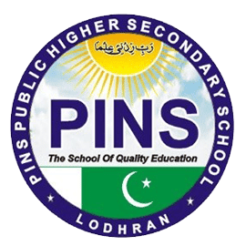 PINS logo